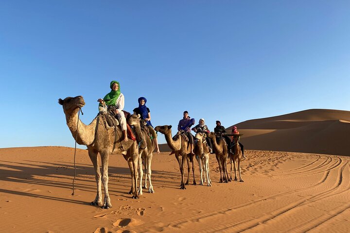 Camel caravan in the dunes near Merzouga