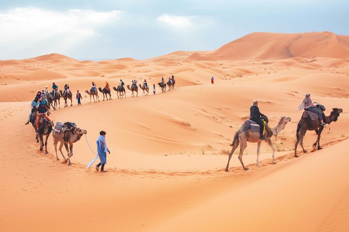 Camel caravan crossing the Sahara dunes near Merzouga